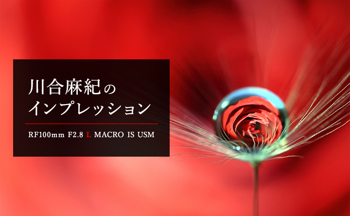RF100mm F2.8 L MACRO IS USM インプレッショー写真家・川合麻紀