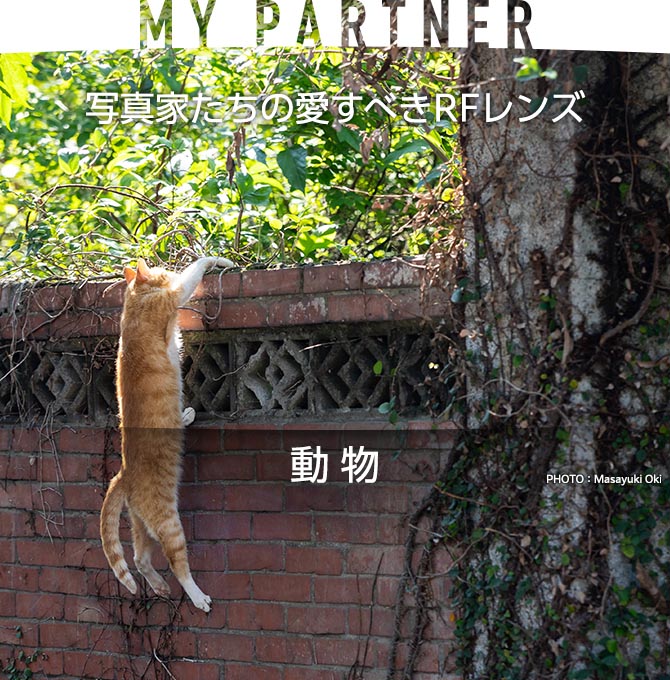 個人のお客さま｜キヤノン