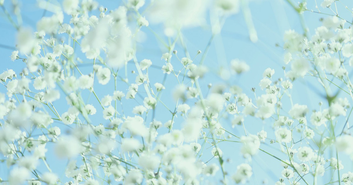 ogp.jpg?sc_lang=ja-JP