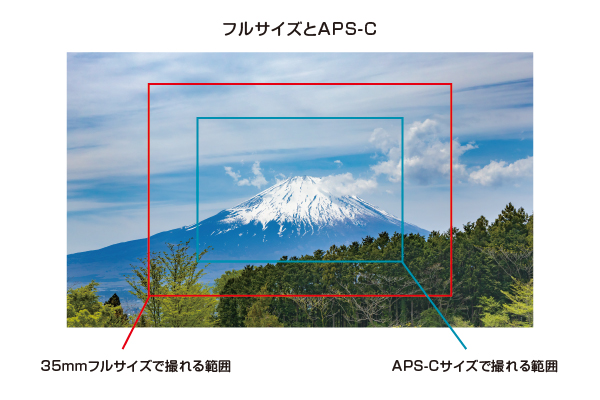 APS-C