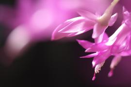 大口径レンズ