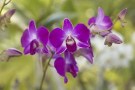 ディフューザーありの例