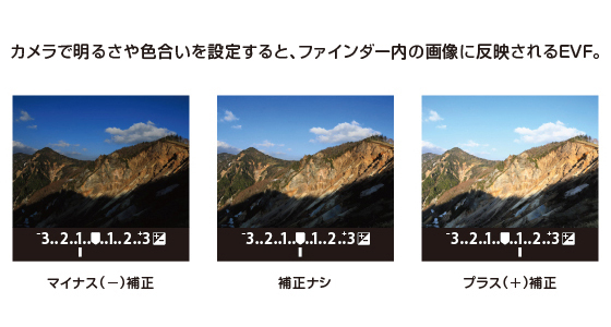 evf とは カメラ