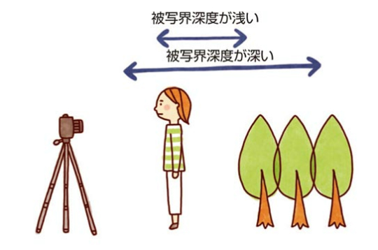 ピントの合う範囲と被写界深度の関係を示した図