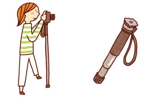 一脚の形状を説明したイラスト