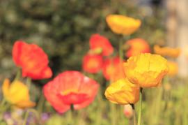 プログラムAEの例