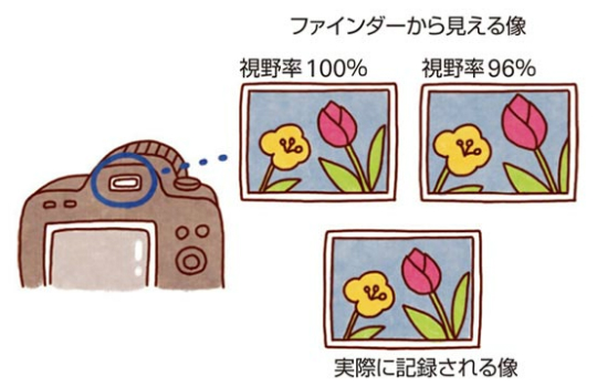 視野率を説明したイラスト