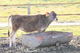 スポット測光の例