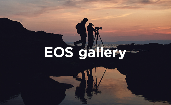 EOS gallery