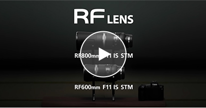 RF600mm F11 STM / RF800mm F11 STM 紹介