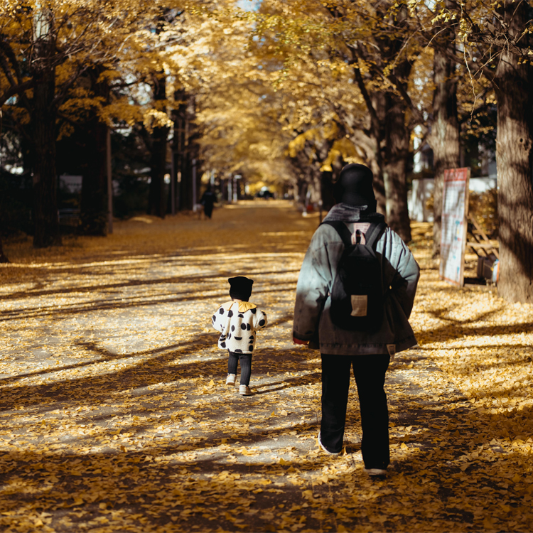 RF50mm F1.4 L VCM No.01：EOS Rシステム 作例集｜個人｜キヤノン