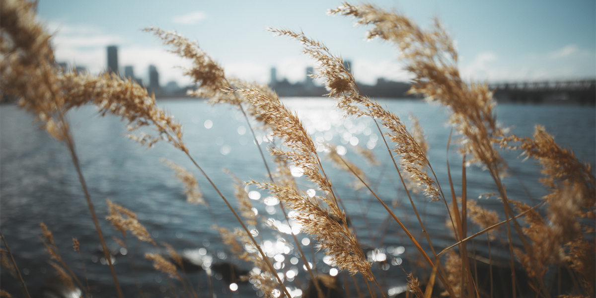 NFD 28F2 Canon 作例あり NFD 28F2 Canon 作例あり NFD 28F2 Canon 作例あり NFD 28F2 Canon