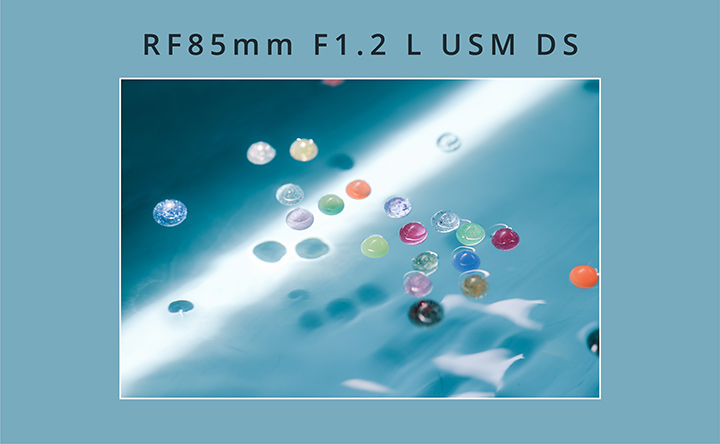 RF85mm F1.2 L USM DS