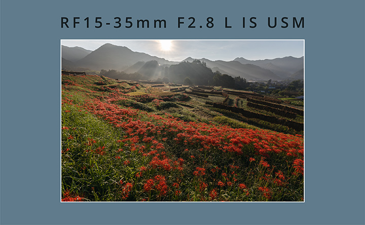 RF15-35mm F2.8 L IS USM