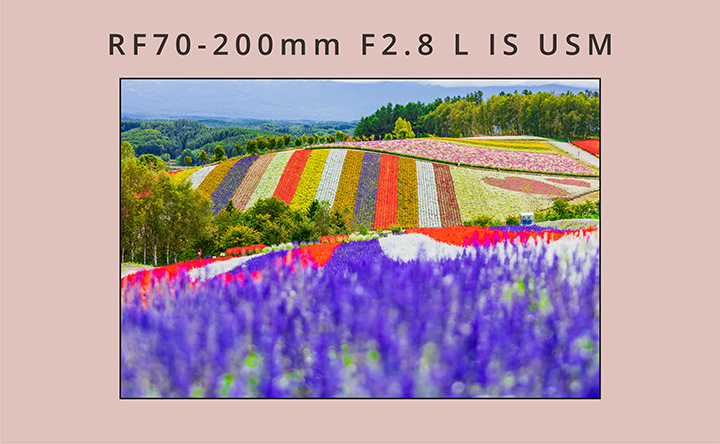 RF70-200mm F2.8 L IS USM