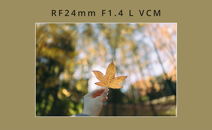 RF24mm F1.4 L VCM