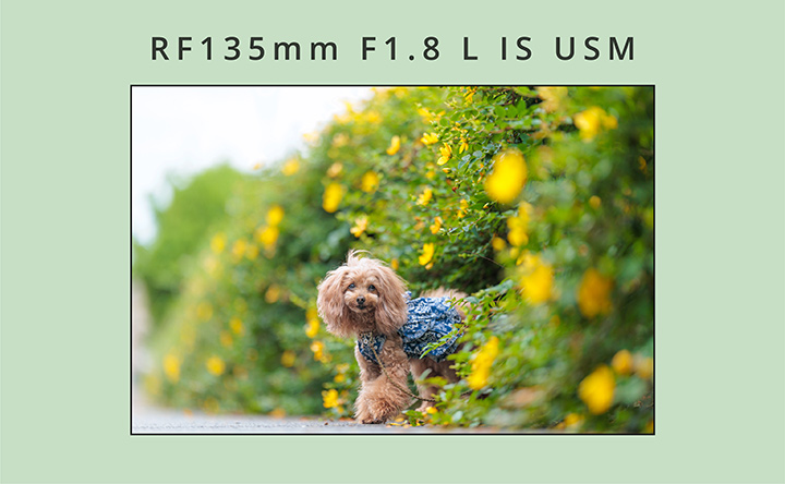 RF135mm F1.8 L IS USM