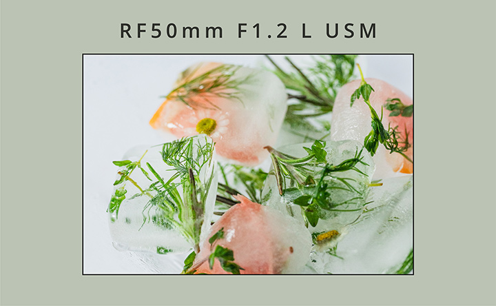 RF50mm F1.2 L USM