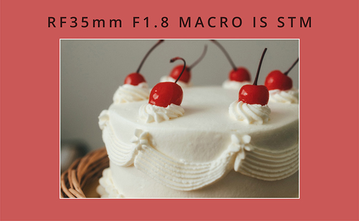 RF35mm F1.8 MACRO IS STM