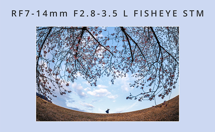 RF7-14mm F2.8-3.5 L FISHEYE STM