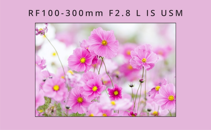 RF100-300mm F2.8 L IS USM