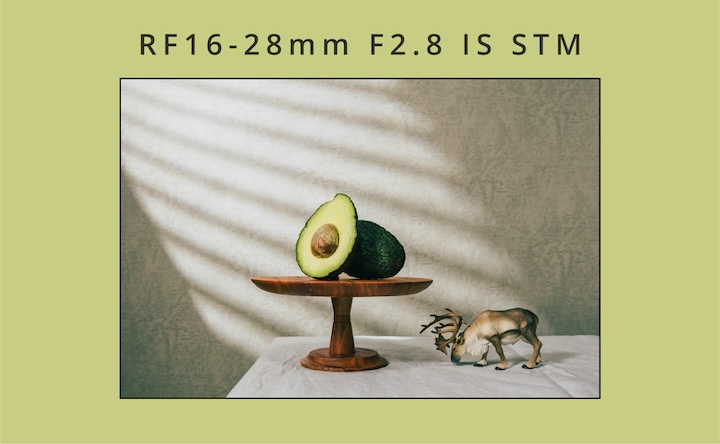 RF16-28mm F2.8 IS STM