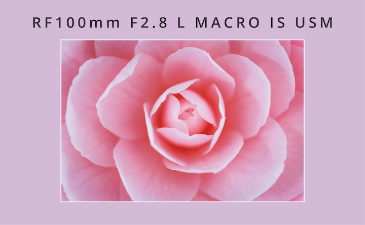 RF100mm F2.8 L MACRO IS USM