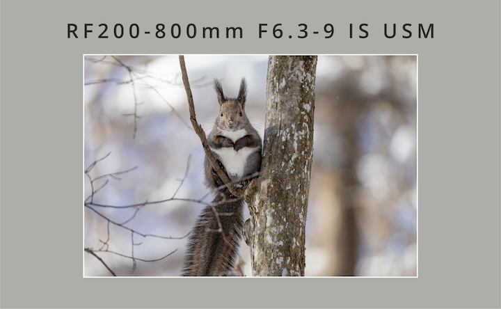 RF200-800mm F6.3-9 IS USM