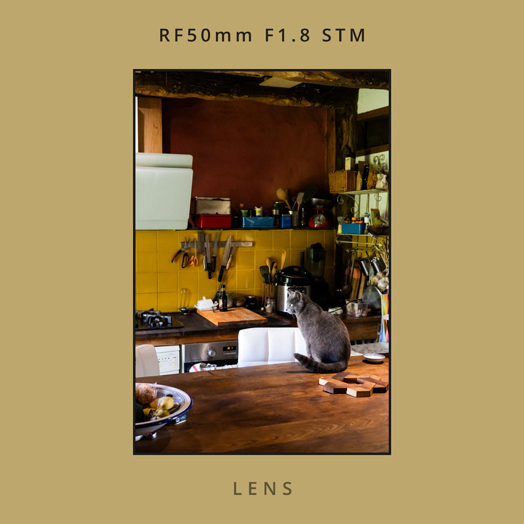 LENS：RF50mm F1.8 STM｜No.01