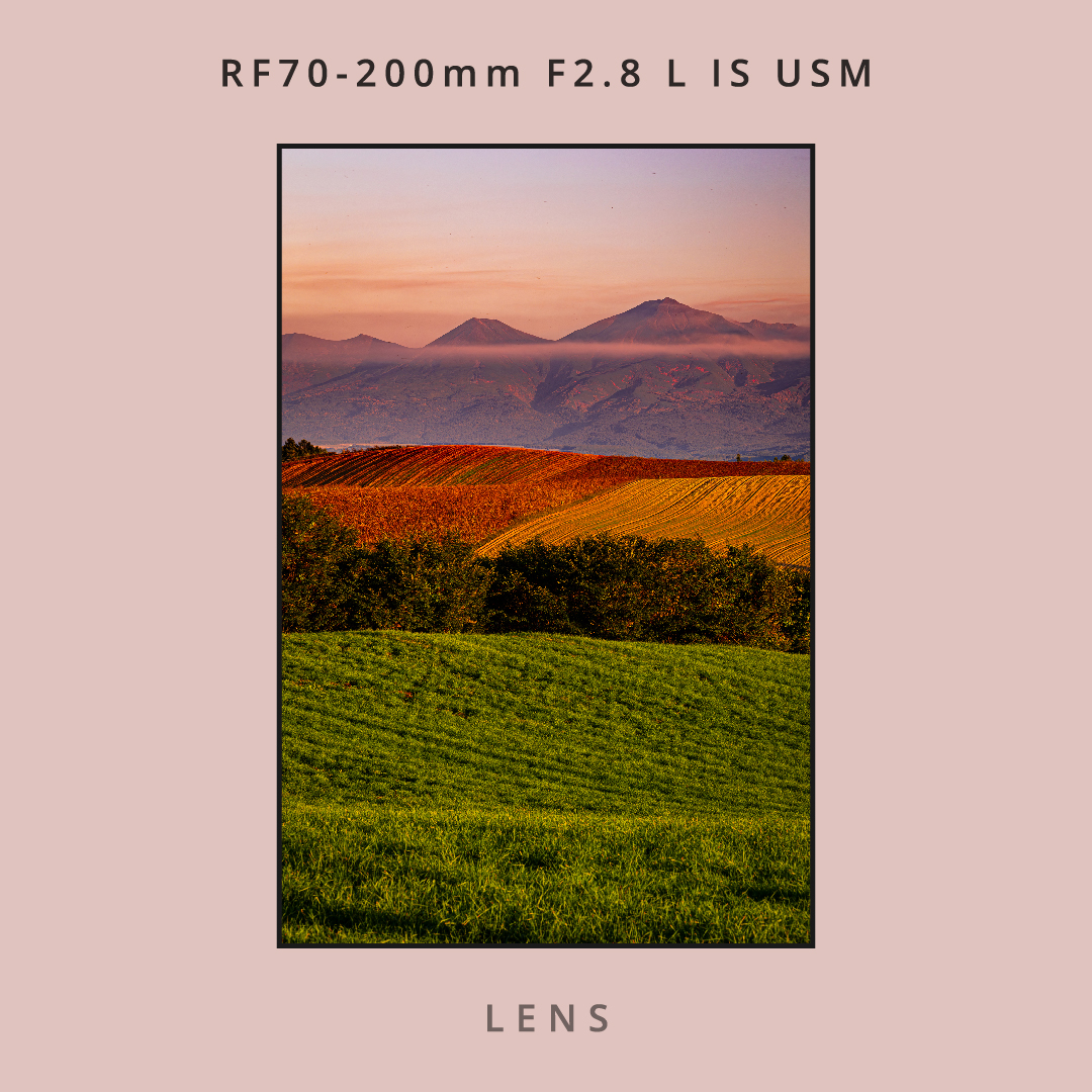 LENS：RF70-200mm F2.8 L IS USM｜No.01