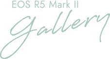 EOS R5 Marks II gallery