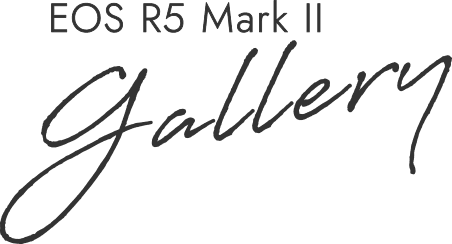 EOS R5 Marks II gallery