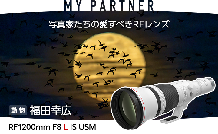 単焦点レンズ：写真用語集｜個人｜キヤノン