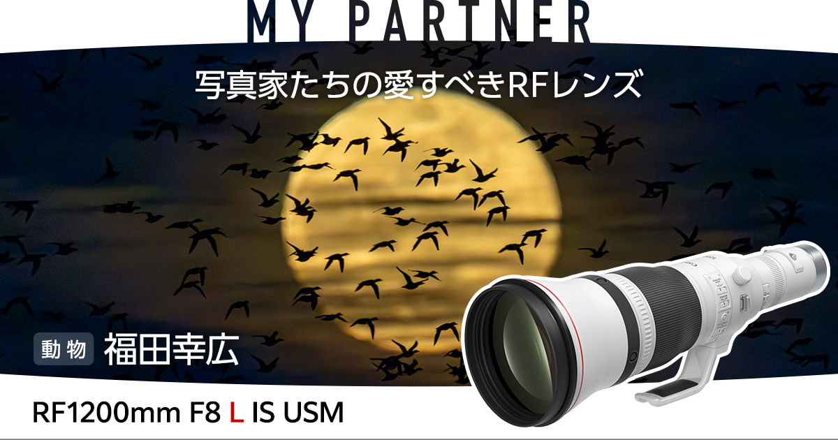 MY PARTNER 写真家たちの愛すべきRFレンズ 動物｜福田 幸弘｜個人