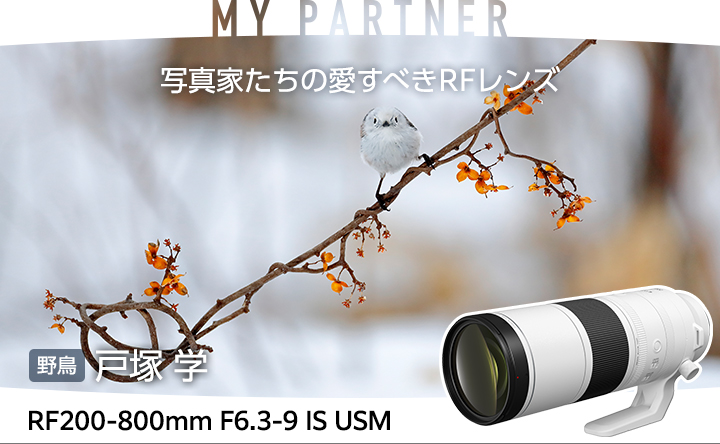 単焦点レンズ：写真用語集｜個人｜キヤノン