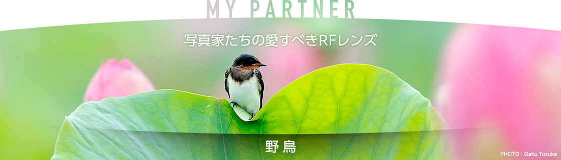 MY PARTNER 写真家たちの愛すべきRFレンズ 野鳥｜戸塚学｜個人｜キヤノン