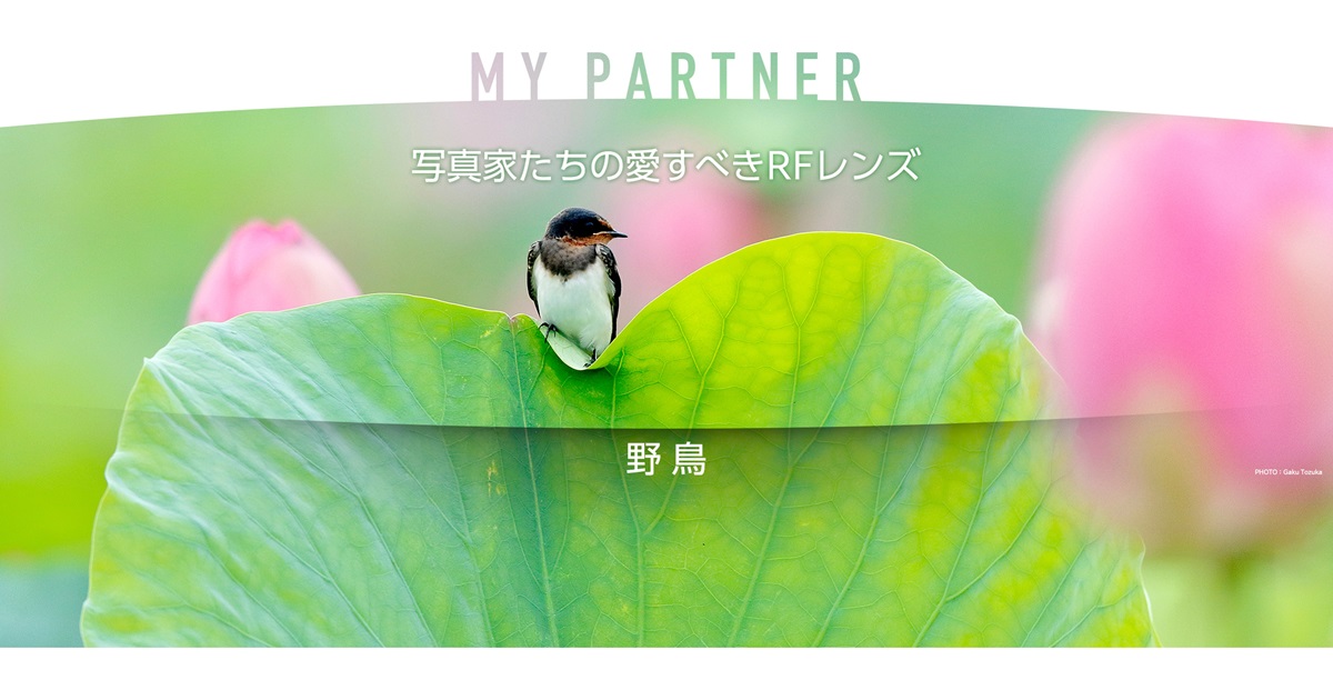 MY PARTNER 写真家たちの愛すべきRFレンズ 野鳥｜戸塚学