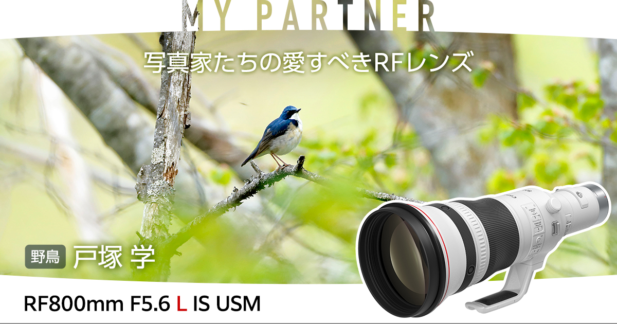 MY PARTNER 写真家たちの愛すべきRFレンズ 野鳥｜戸塚 学｜個人｜キヤノン