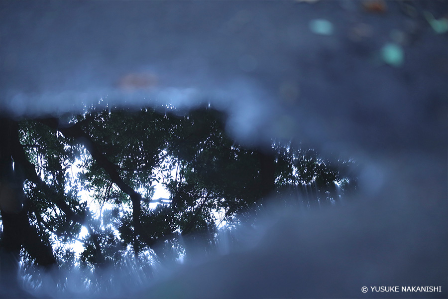 作例5 水たまり