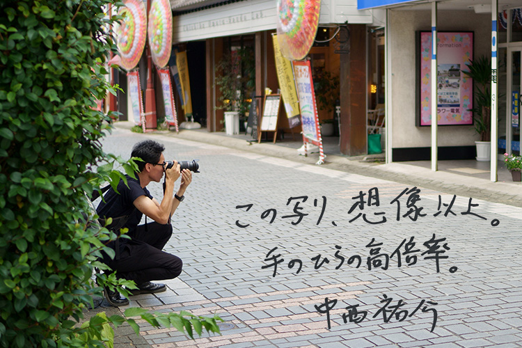 RF24-240mm F4-6.3 IS USMを一言で言うなら「この写り、想像以上。手のひらの高倍率。」