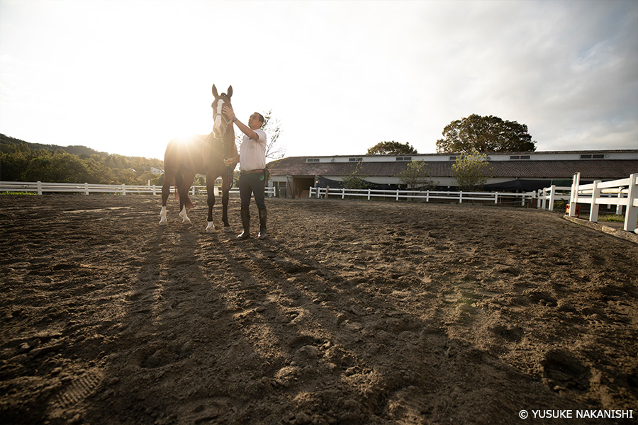 作例1 朝の乗馬クラブ