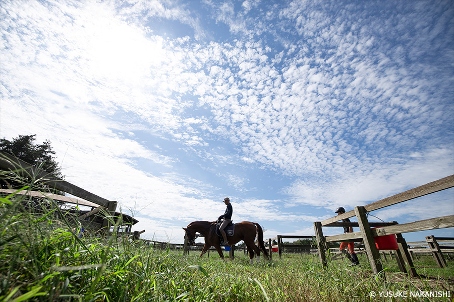 作例2 人馬の姿