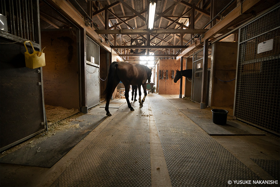 作例3 厩舎
