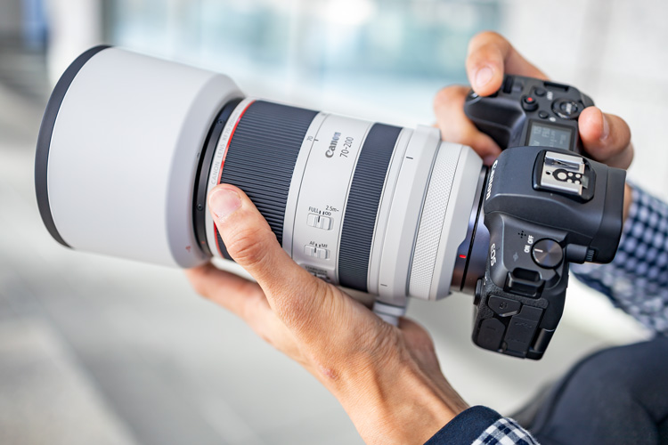 RF70-200mm F2.8 L IS USMを装着したEOS R