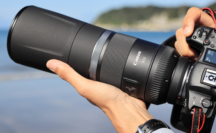 第8回 RF800mm F11 IS STM：RFレンズ、買ってもいいですか？｜個人｜キヤノン