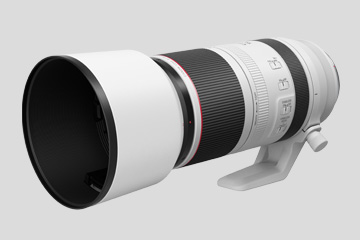 RF100-500mm F4.5-7.1 L IS USM