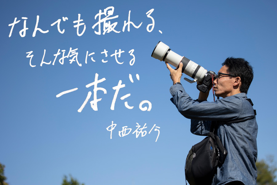 RF100-500mm F4.5-7.1 L IS USMを一言で言うなら「なんでも撮れる、そんな気にさせる一本だ。」