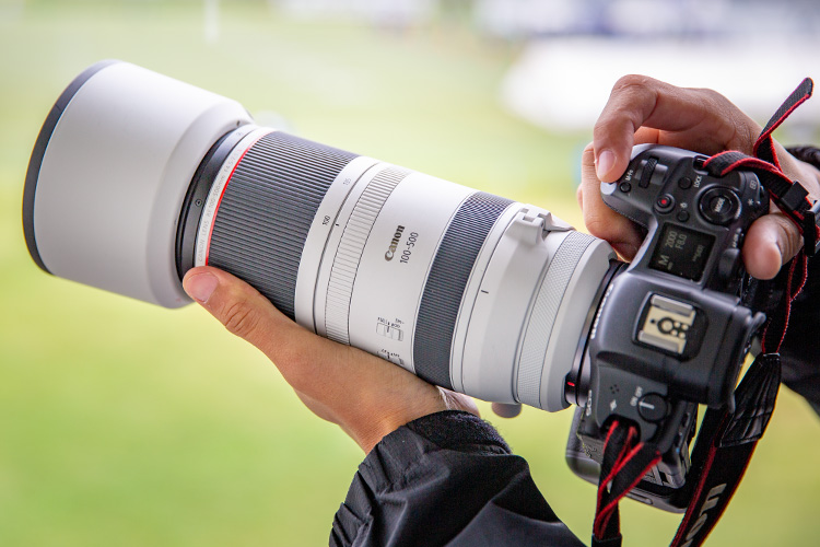 RF100-500mm F4.5-7.1 L IS USMを装着したEOS R5