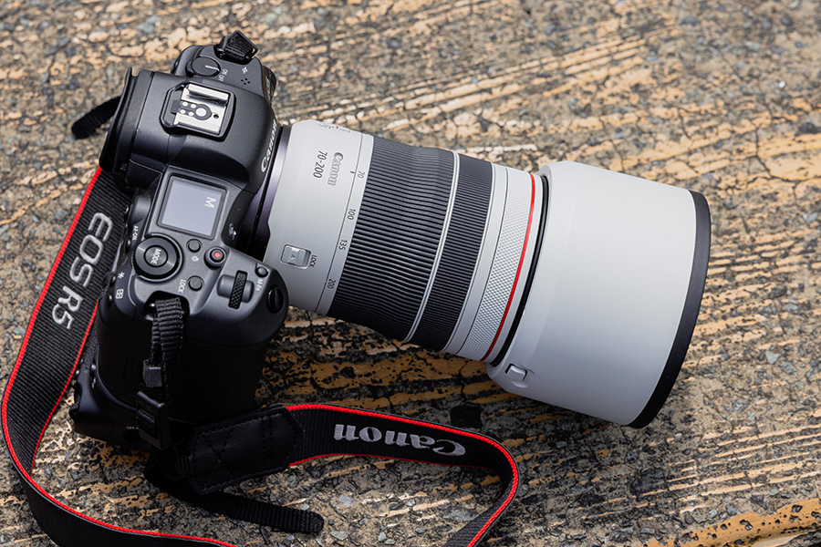 EOS R5に装着されたRF70-200mm F2.8 L IS USM