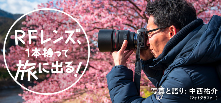 RF85mm F1.2 L USM DS 1本で伊豆・河津桜を撮りに行ってみた RF85mm F1.2 L USM DS 1本で伊豆・河津桜を撮りに行ってみた